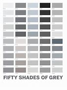 Image result for What Color Goes with Grey