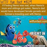 Image result for Amazing WTF Fun Facts