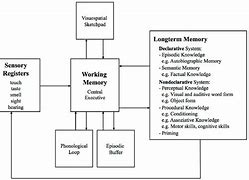 Image result for Human Memory Model
