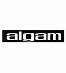 Image result for algam�