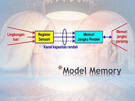 Image result for Gambar Memory Manusia Dalam Imk