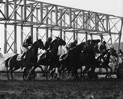 Image result for Horse Racing Starting Gate