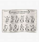 Image result for 12 Bridges of Hung Gar Kung Fu