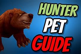 Image result for Cool Hunter Pets WoW
