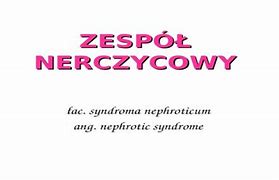 Image result for co_to_znaczy_zespół_nerczycowy