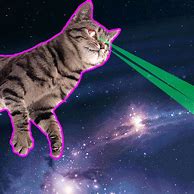 Image result for Nyan Cat Outer Space