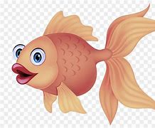 Image result for Anima Si Fish Eye