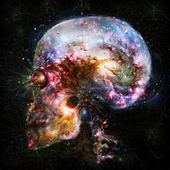 Image result for Galaxy Skeleton