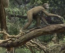 Image result for 200 Million Years Ago Humans