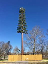 Image result for Faux Tree Cell Towers