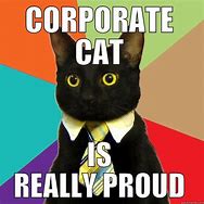 Image result for Congratulations Meme Business Cat