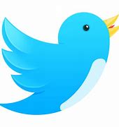 Image result for Twitter Icon Bird App