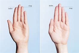 Image result for Man vs Woman Hands