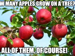 Image result for Funny Apple Cup Memes