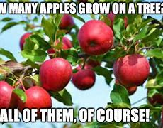 Image result for Apple Tree Shaker Meme