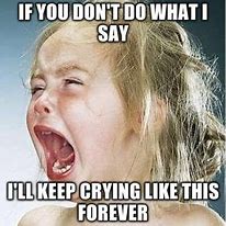 Image result for Person Crying Meme