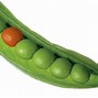 Image result for The Size of a Pea in Millimeters