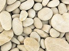 Image result for A Single Small Pebble