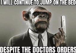 Image result for Monkey Shines Funny Memes
