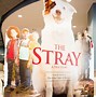 Image result for The Strays AST