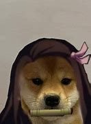 Image result for Dog with Hat Meme Template