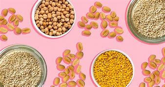 Image result for Plant-Based Protein