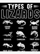 Image result for All Types of Lizards