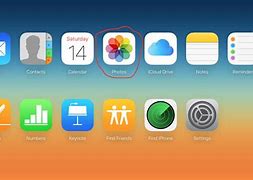 Image result for iPhone 13 User Guide