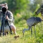 Image result for Bird Photography Cameras