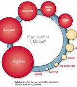 Image result for How Big Is 300 Micron