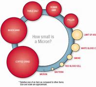 Image result for How Big Is 30 Microns