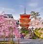 Image result for Tourist Spot in Japan