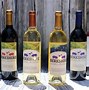 Image result for Black Vines