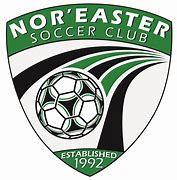 Image result for Nor'easter Logo