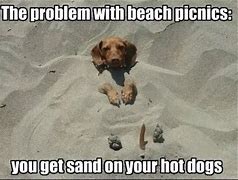 Image result for Dirty Beach Memes