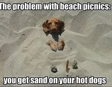 Image result for Sand Funny