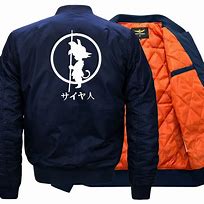 Image result for Dragon Ball Jacket