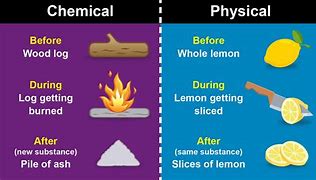 Image result for Difference Between Physical and Chemical Reactions