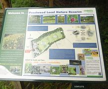 Image result for Example of Local Community