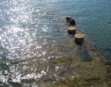 Image result for USS Arizona Human Remains