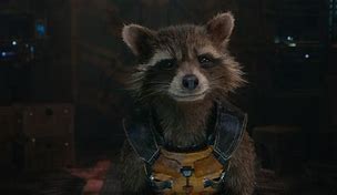 Image result for Rocky Guardians of the Galaxy