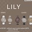 Image result for Garmin Lily Steel Bracelt