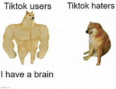 Image result for You Have No Brain Pic Meme