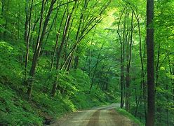 Image result for Pennsylvania Mountains