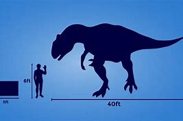 Image result for How Big Is 5 FET