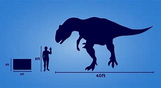 Image result for 7 Foot Compared to 5 Foot