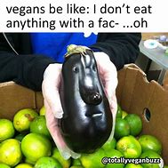 Image result for Dear Vegans Meme
