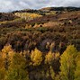 Image result for San Juan Mountains Colorado Fall Color