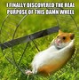 Image result for Hamster Fan Meme