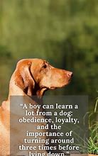 Image result for Best Friends Quotes Animal